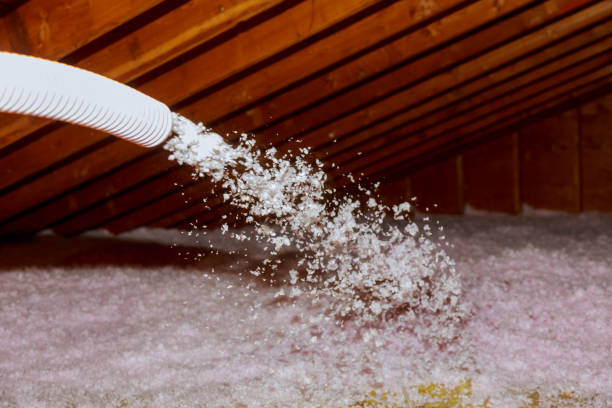 Best Home Insulation Services  in Warrenton, MO