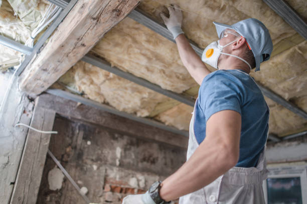 Best Soundproof Insulation Installation  in Warrenton, MO