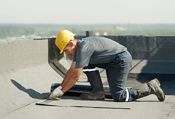 Best Attic Insulation Installation  in Warrenton, MO