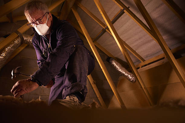 Best Residential Insulation Services  in Warrenton, MO